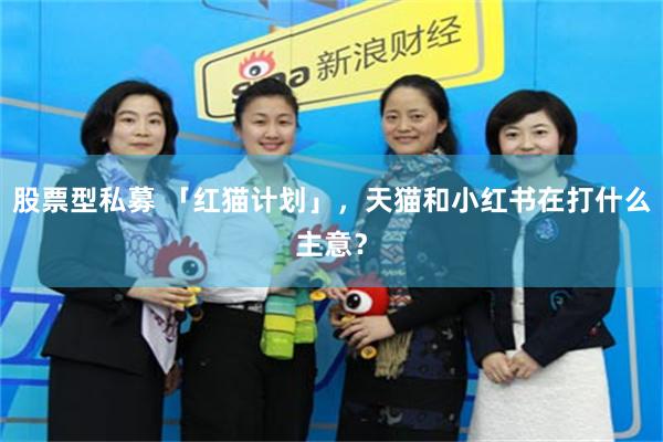 股票型私募 「红猫计划」，天猫和小红书在打什么主意？