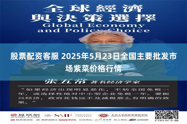 股票配资客服 2025年5月23日全国主要批发市场紫菜价格行情