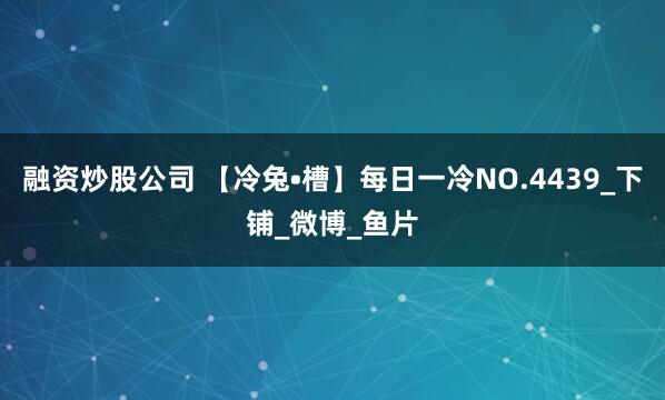 融资炒股公司 【冷兔•槽】每日一冷NO.4439_下铺_微博_鱼片