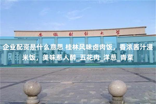 企业配资是什么意思 桂林风味卤肉饭，香浓酱汁浸米饭，美味惹人醉_五花肉_洋葱_青菜