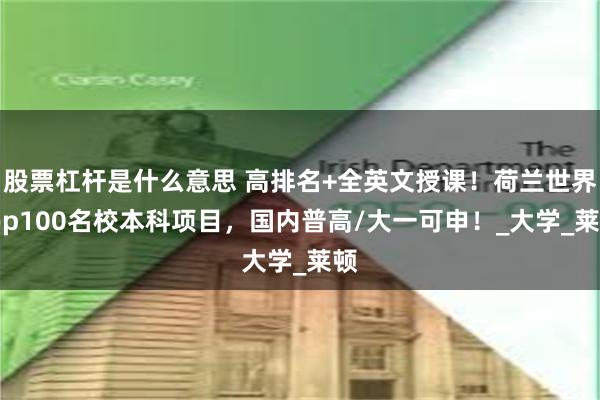 股票杠杆是什么意思 高排名+全英文授课！荷兰世界top100名校本科项目，国内普高/大一可申！_大学_莱顿
