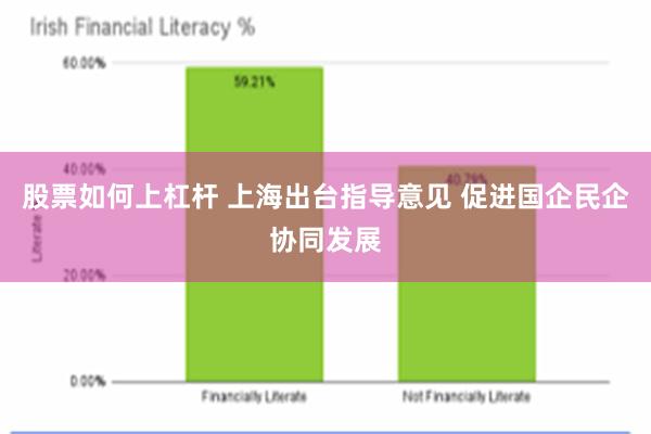 股票如何上杠杆 上海出台指导意见 促进国企民企协同发展