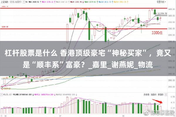 杠杆股票是什么 香港顶级豪宅“神秘买家”，竟又是“顺丰系”富豪？_嘉里_谢燕妮_物流